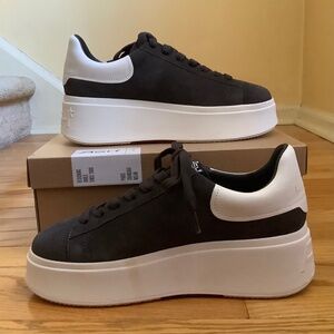 ASH Moxie Suede Platform Sneaker Soft Black SZ EU 40